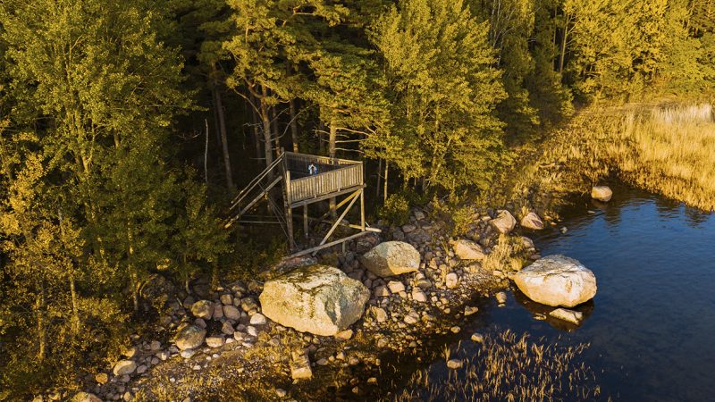 Ilmakuvassa ihminen seisoo metsän reunassa puisella paaluille rakennettussa lintutornissa kallioisen rantaviivan vieressä, isoja lohkareita ja ruovikkoa kullanhohteisessa iltavalossa ja tyyni sininen vesistö oikealla