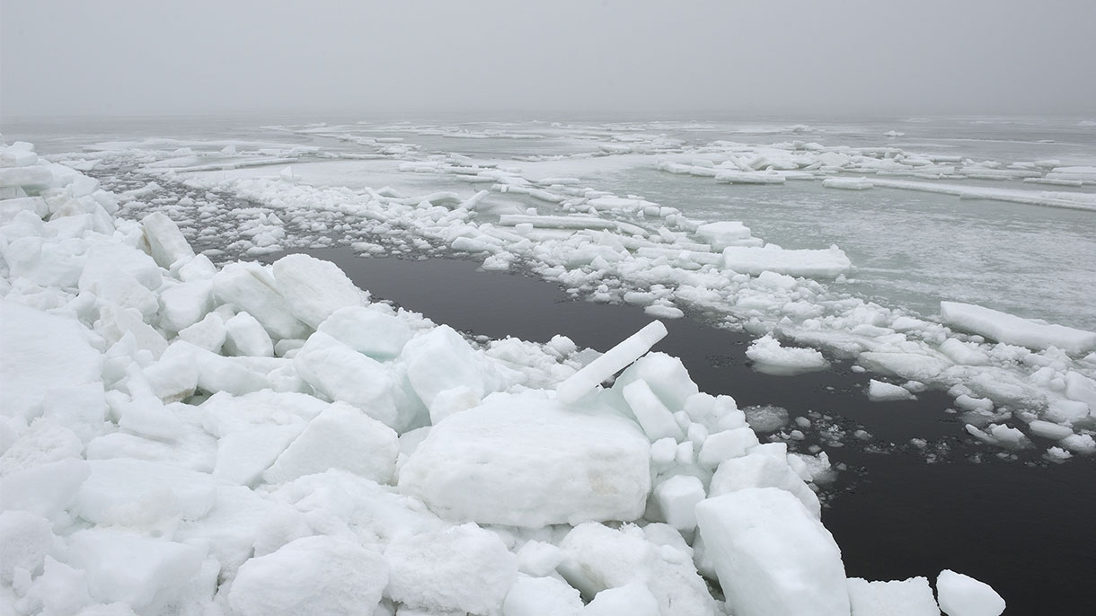 jäälauttoja ja kasautunutta jäätä meressä