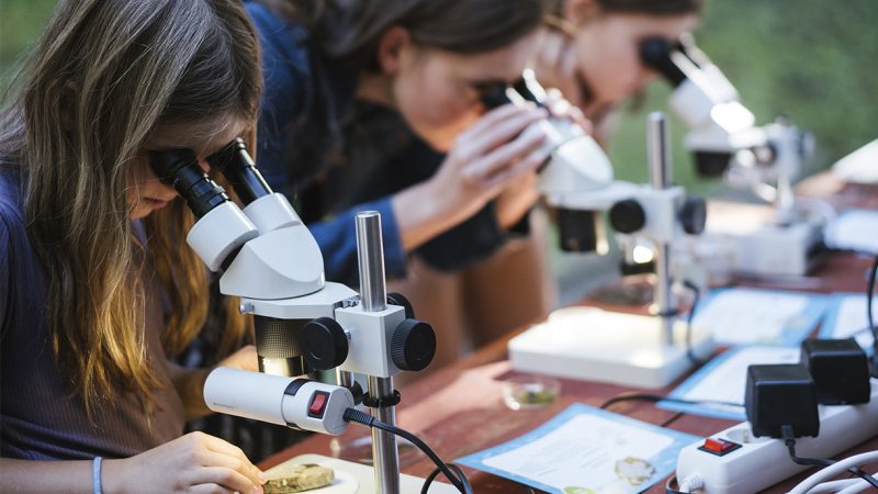 Kolme tyttöä tutkii mikroskoopilla Itämereen liittyviä kasveja ja kiviä