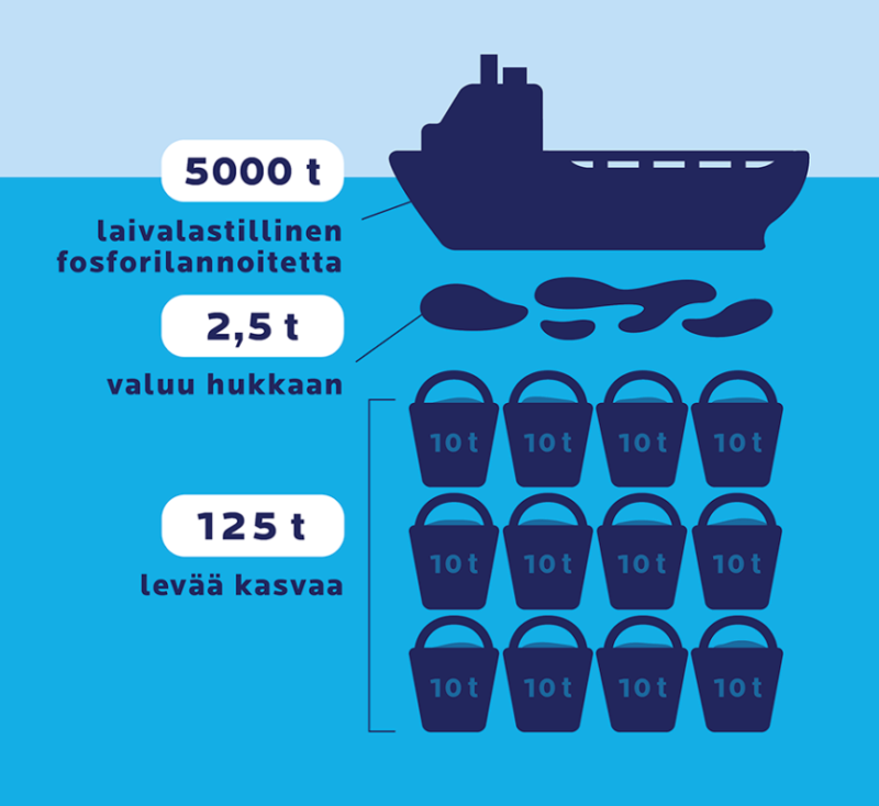 Infograafi: 5000 tonnin lannoitelastin fosfori riittää mereen päästessään tuottamaan 125 tonnia levää.