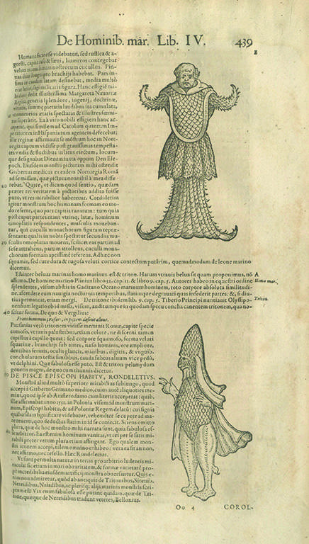 Kirjan sivu 1500-luvulta, jossa esitellään ihmisten kaltaisia meriasukkaita.