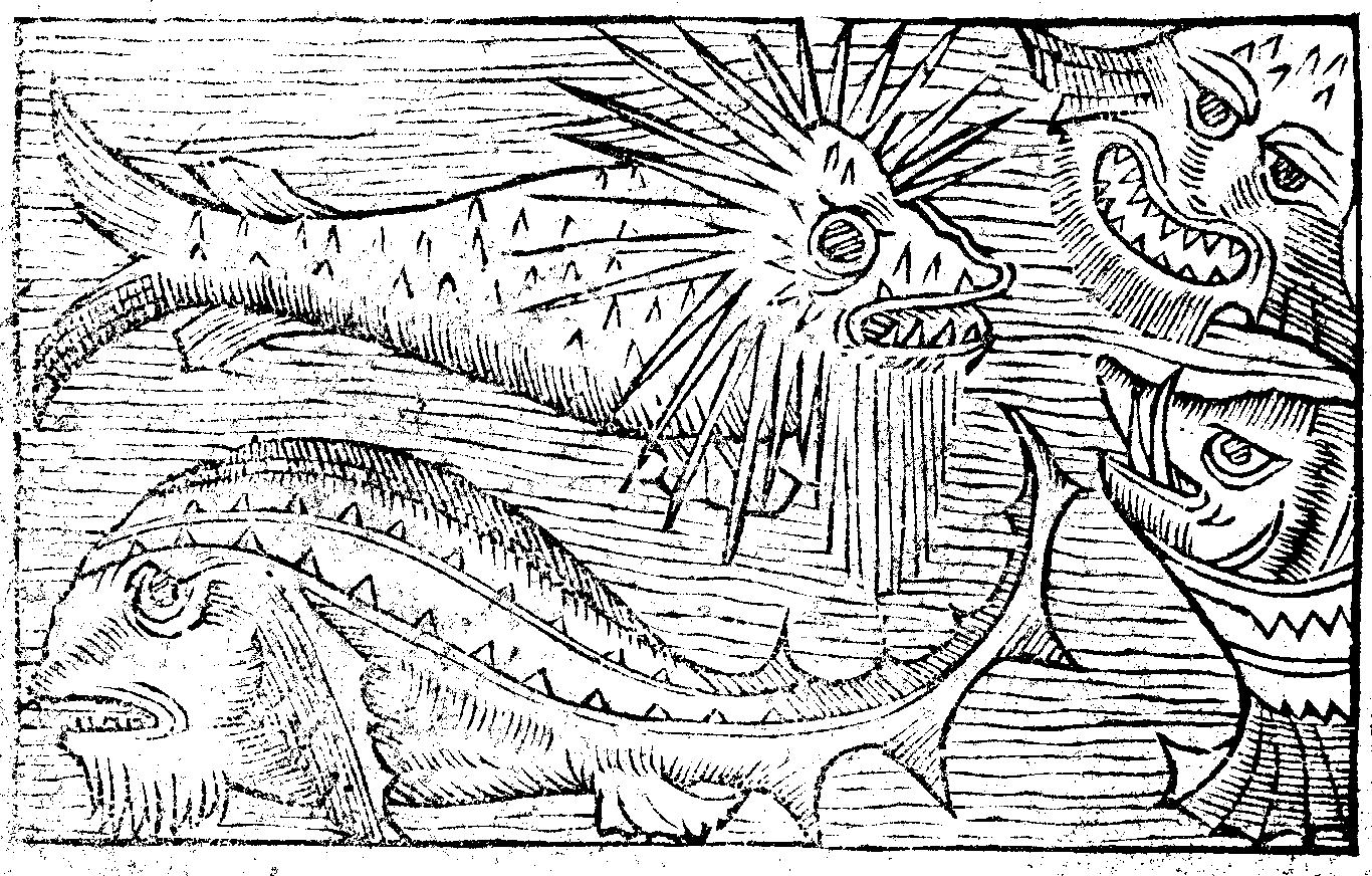 Piirroskuva: Olaus Magnuksen piikkipäävalas