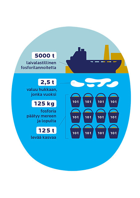 Infograafi: Kuvitteellinen esimerkki havainnollistaa lannoitteen laivakuljetuksiin liittyvää päästöriskin mittaluokkaa. Arvion mukaan 0,05 % lastista voi päätyä hävikkinä mereen. Jos lannoite sisältää 5 % fosforia, se tarkoittaa 125 kg verran fosforia yhdestä laivasta. Meressä 1 kg fosforia kiihdyttää levien kasvut yhden tonnin.