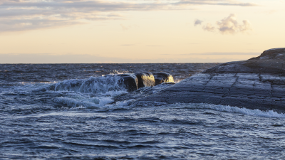 Aallot ja kalliota ilta-auringossa