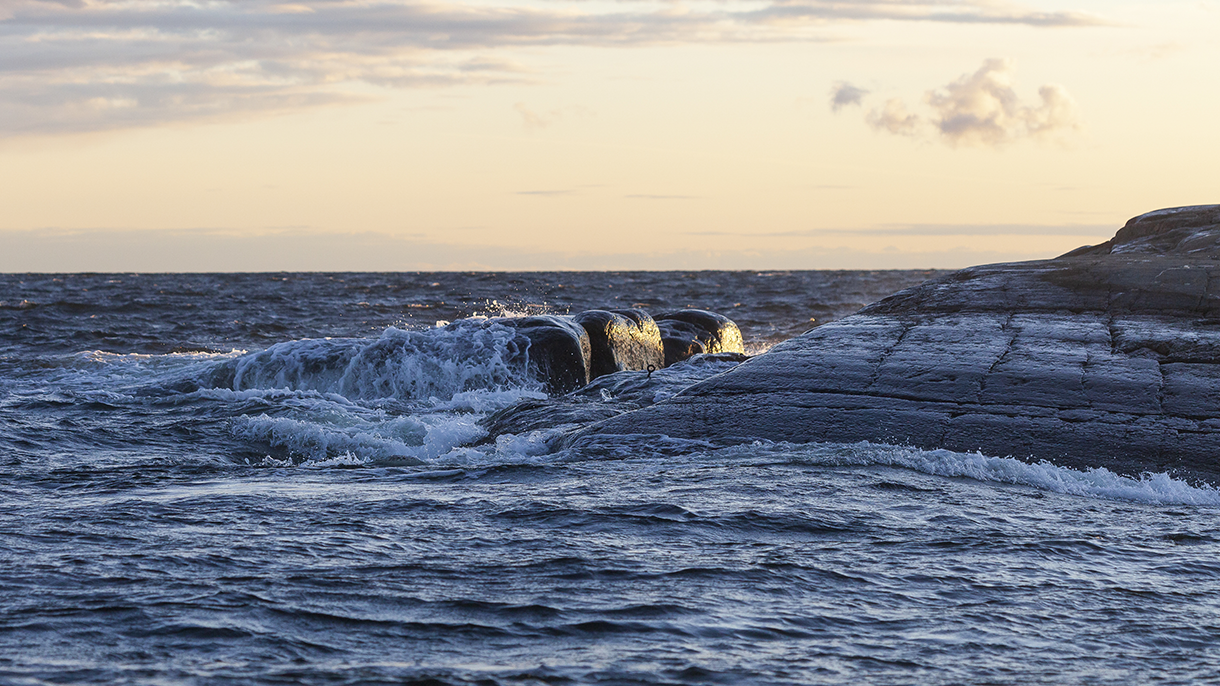 Aallot ja kalliota ilta-auringossa