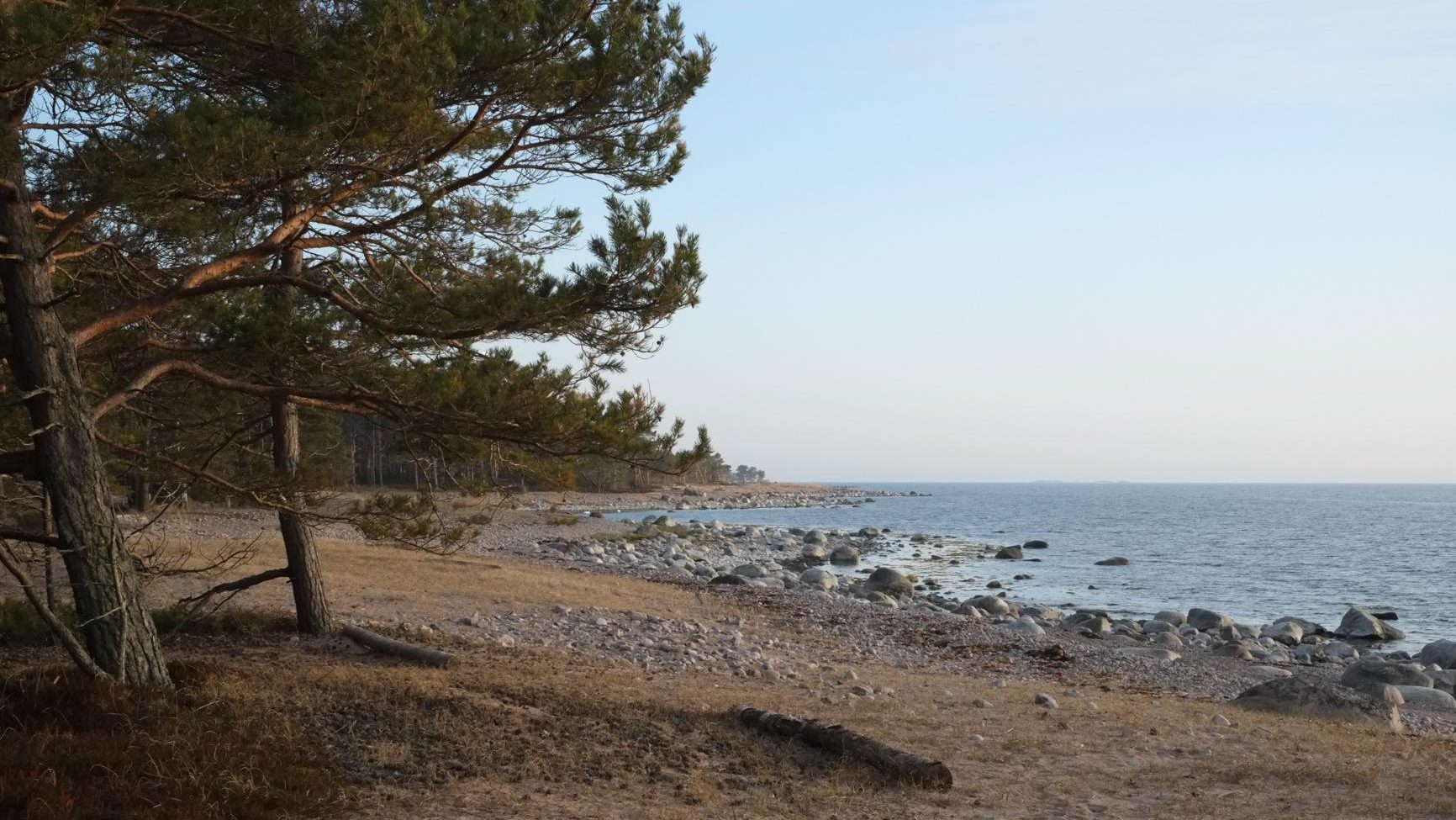 Mäntyjä, hiekkaa ja merta Örön rannalla.
