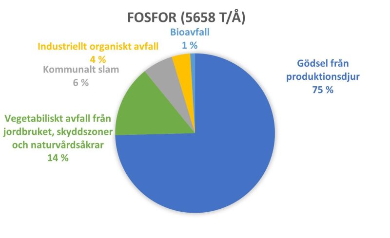 Infografik: Fosfor som uppkommer i sydvästra Finlands granskningsområde