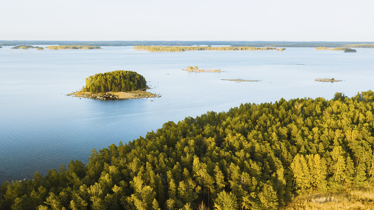 Metsää ja merta