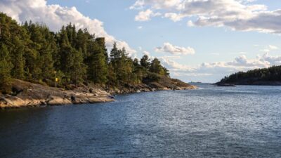 Merimaisema Kuva Helmi Pörhölä