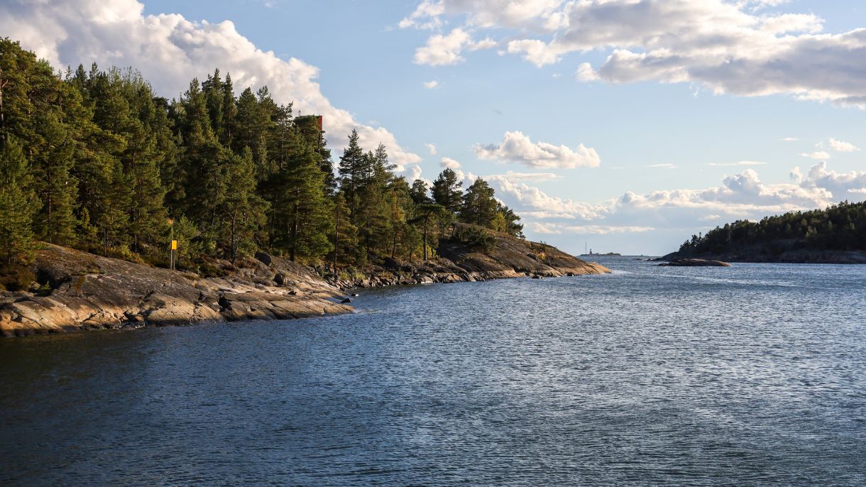 Merimaisema Kuva Helmi Pörhölä
