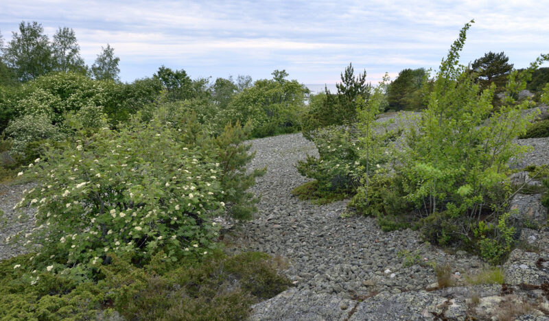 Rantamaisemaa