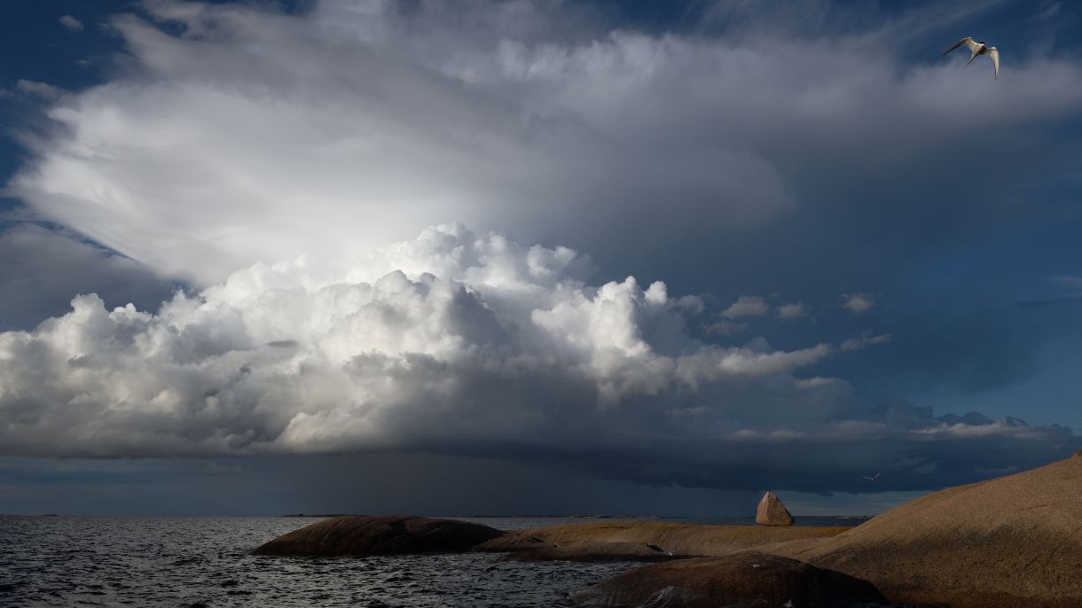 Itämeri ja isot pilvet sen yllä. Taivaalla lentää lintu.
