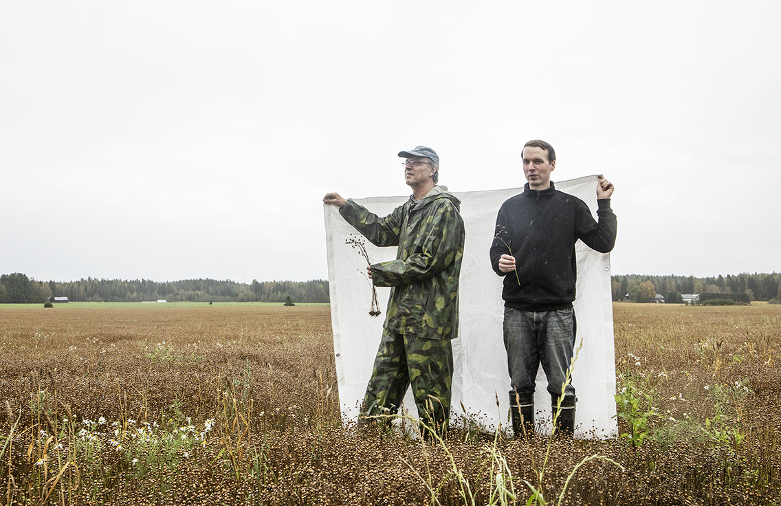 Kaksi miestä seisoo pellolla.
