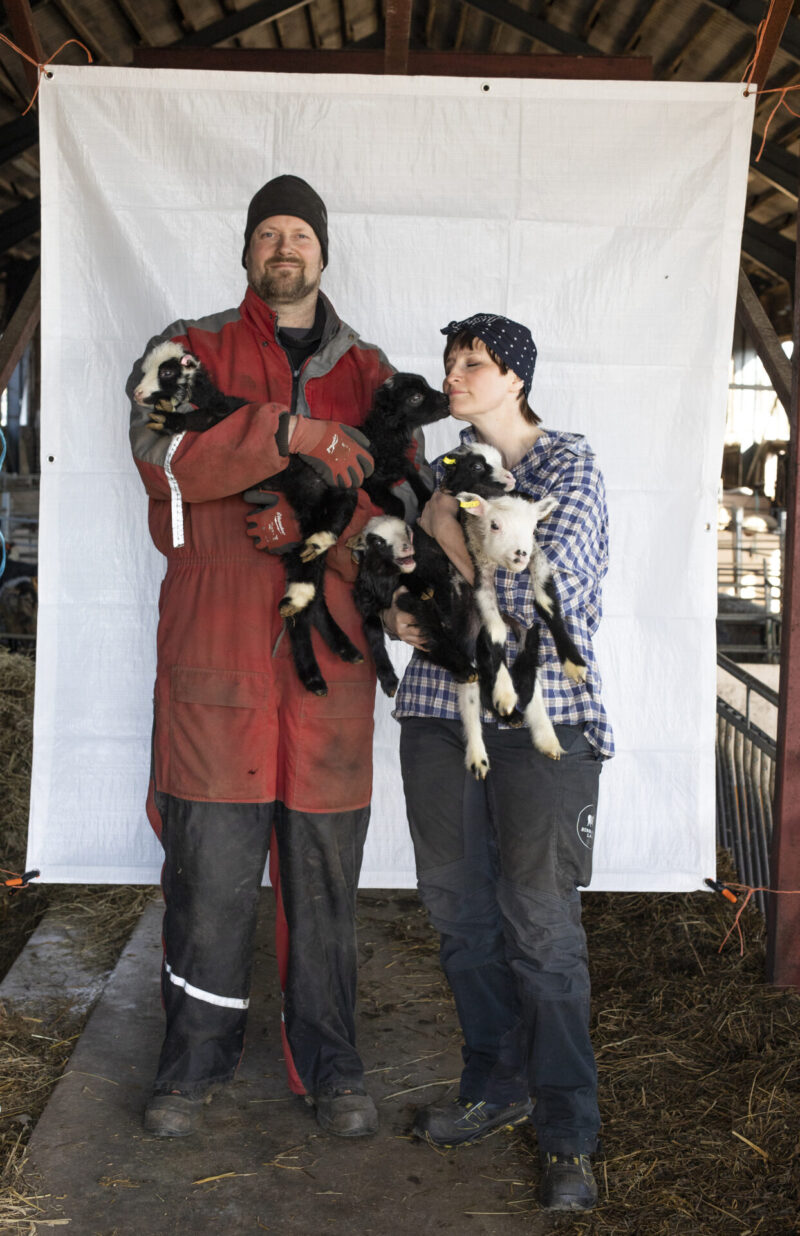 Mies ja nainen seisovat latojen sisällä valkoisen taustan edessä, kumpikin sylissään useita pieniä karitsanlampaiden poikasia.