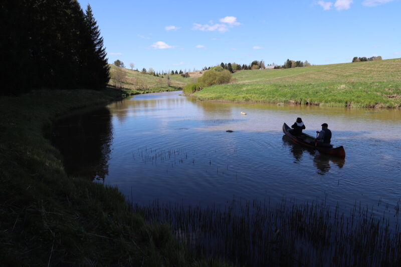 Kaksi ihmistä melomassa rauhallisella Uskelanjoella, ympärillä vihreät pellot ja reunametsikkö, sininen taivas ja veden heijastukset.
