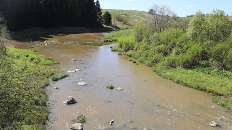 Uskelanjokea ylhäältä kuvattuna: matala, ruskehtava virta kulkee kivien ja ruohokasvuston lomitse, kumpuilevat niityt ja pensaat reunustavat rantaa ja metsäinen rinne taustalla sinisen taivaan alla.