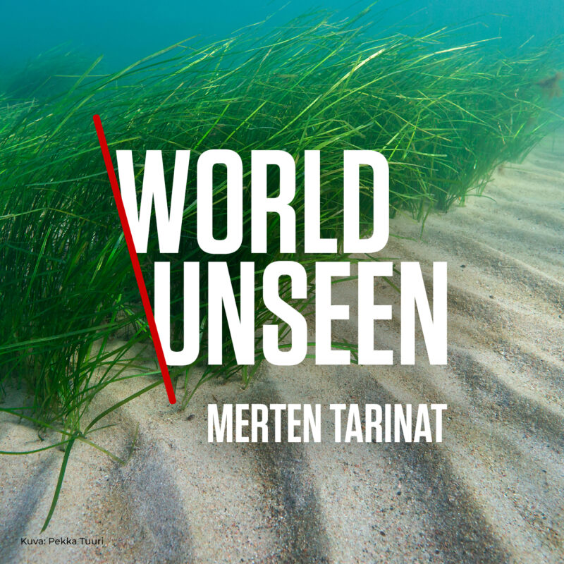 Kuva merenpohjasta: sinertävä vesi, meriajokasta ja hiekkaa, päällä isot valkoiset tekstit WORLD UNSEEN ja pienempi MERTEN TARINAT sekä vasemmalla punainen vino viiva.