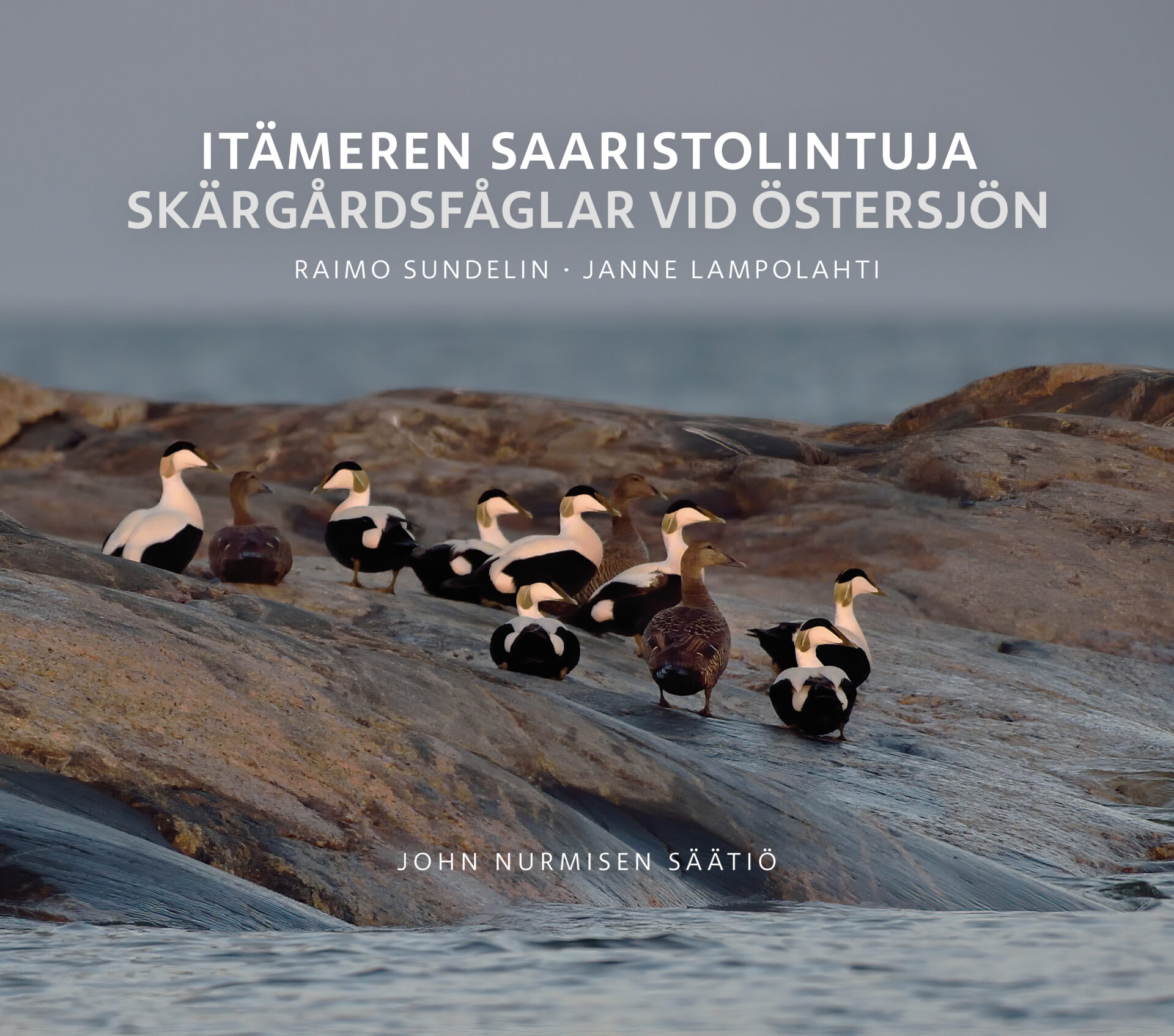 Kirjankansi: kalliolla meren rannalla seisoo ryhmä haahkoja, kuvan yläosassa tekstit "Itämeren saaristolintuja / Skärgårdsfåglar vid Östersjön" ja tekijöiden nimet.